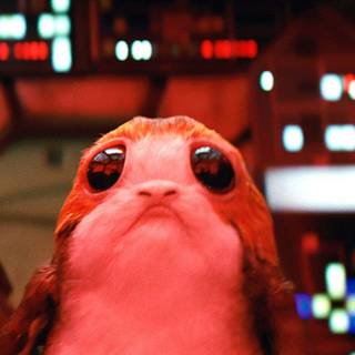 Star Wars Porg wallpaper