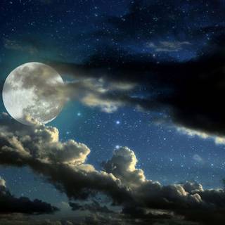 Moon portrait wallpaper