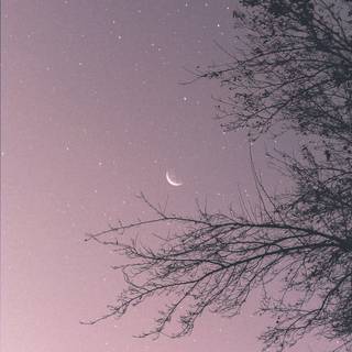 Moon portrait wallpaper