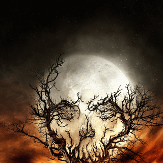 Moon portrait wallpaper