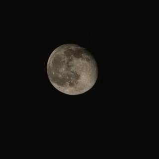 Moon portrait wallpaper