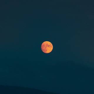 Moon portrait wallpaper