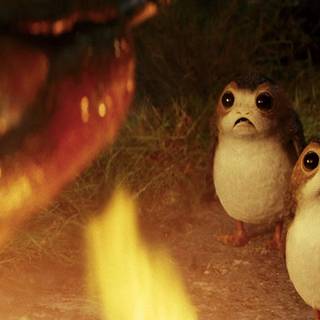 Star Wars Porg wallpaper