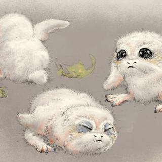 Star Wars Porg wallpaper