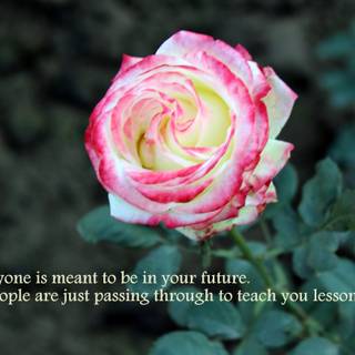 Beautiful words wallpaper