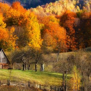 Country fall wallpaper