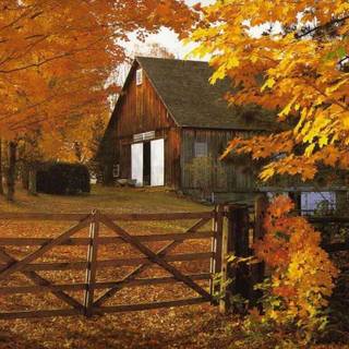 Country fall wallpaper