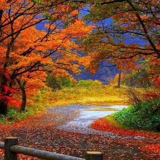 Country fall wallpaper