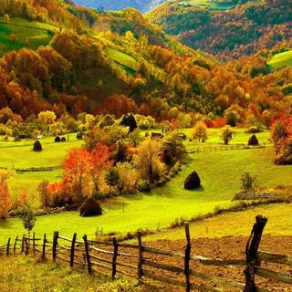 Country fall wallpaper