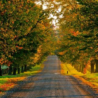 Country fall wallpaper