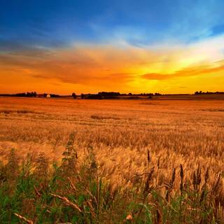 Country fall wallpaper