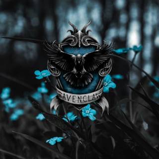 Ravenclaw phone wallpaper
