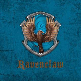 Ravenclaw Quidditch wallpaper