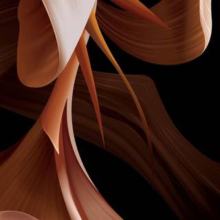 Motorola phone wallpaper