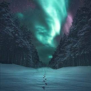 Aurora iPhone wallpaper