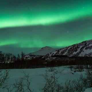 Aurora iPhone wallpaper