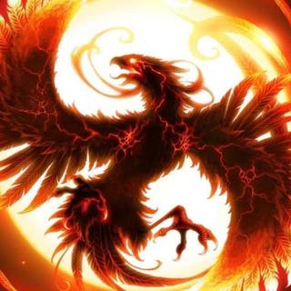 Phoenix phone wallpaper