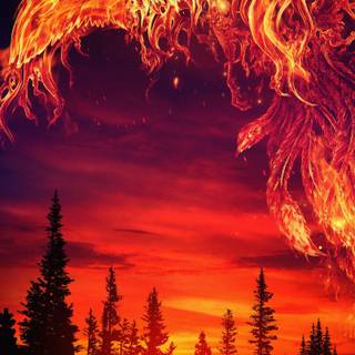 Phoenix phone wallpaper