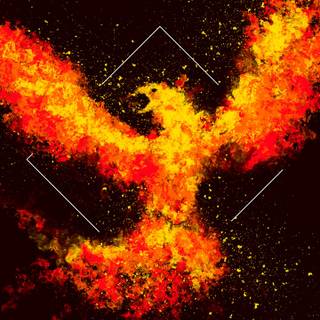 Phoenix phone wallpaper