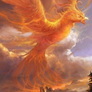 Phoenix phone wallpaper
