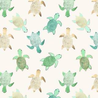 Turtle iPhone wallpaper