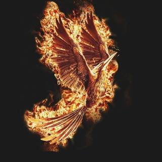 Phoenix phone wallpaper