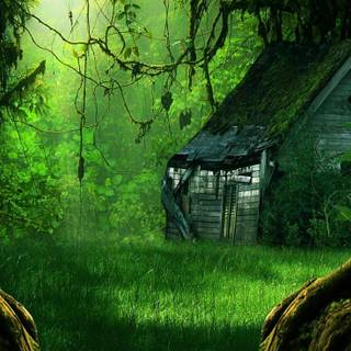 Jungle phone wallpaper