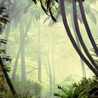 Jungle phone wallpaper