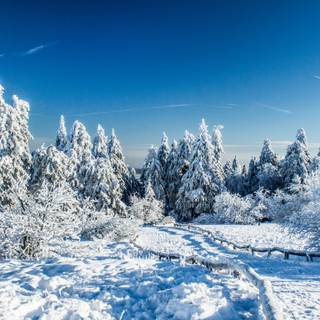 Winter 5120x2880 wallpaper