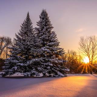 Winter 5120x2880 wallpaper