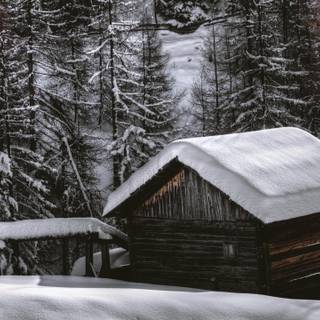 Winter 5120x2880 wallpaper