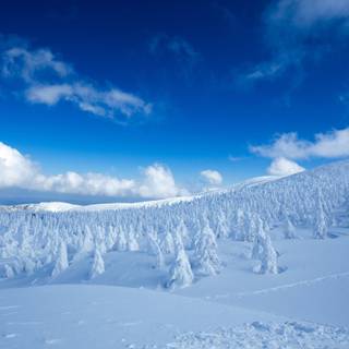 Winter 5120x2880 wallpaper