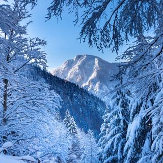 Winter 5120x2880 wallpaper