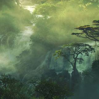 Jungle phone wallpaper