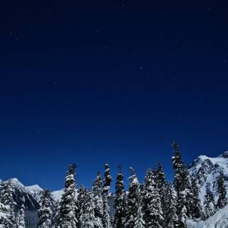 Winter 5120x2880 wallpaper