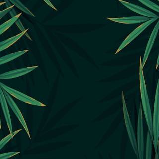Jungle phone wallpaper