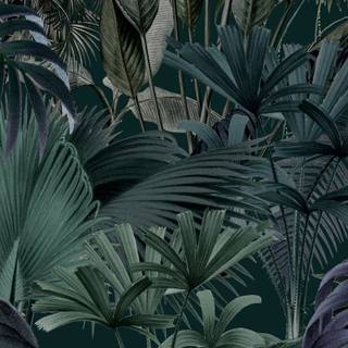 Jungle phone wallpaper