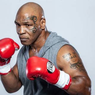 Mike Tyson desktop wallpaper