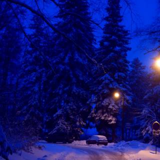 Winter 5120x2880 wallpaper