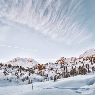 Winter 5120x2880 wallpaper