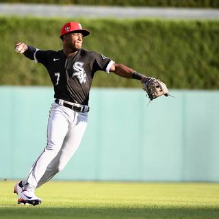 Frank Thomas wallpaper