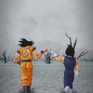 Goku and Vegeta iPhone wallpaper