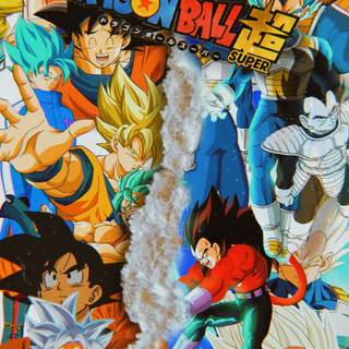 Goku and Vegeta iPhone wallpaper