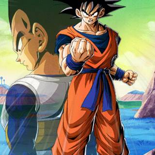 Goku and Vegeta iPhone wallpaper
