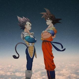 Goku and Vegeta iPhone wallpaper