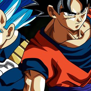 Goku and Vegeta iPhone wallpaper