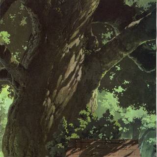 Totoro iPhone wallpaper