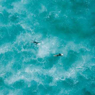 Cute aesthetic phone wallpaper