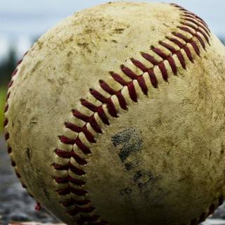 iPhone baseball wallpaper