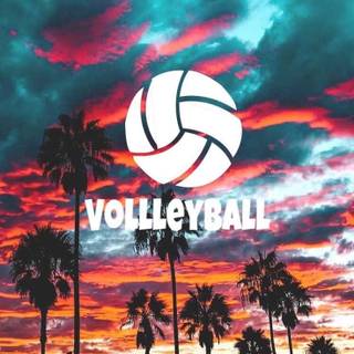 Volleyball iPhone wallpaper